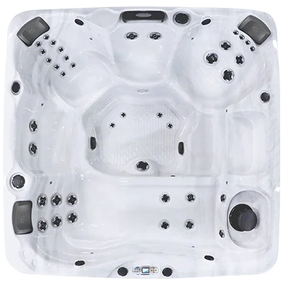 Avalon EC-840L hot tubs for sale in Port St Lucie